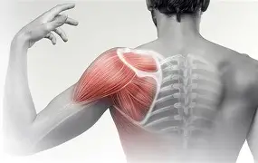 Manuele Therapie bij Frozen Shoulder: Up-to-date in één dag